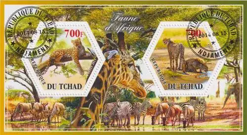 Fauna of Africa - leopards and zebras