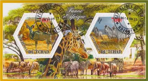 Fauna of Africa - deer and zebras