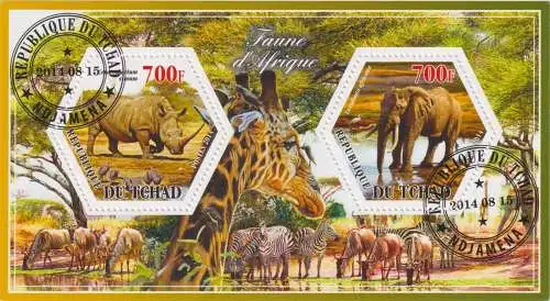 Fauna of Africa - elephants and rhinos