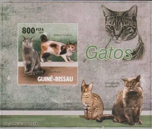 Cat breeds - japanese bobtail and russian blue - luxury blocks