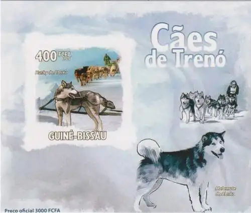 Sled dogs - Alaskan Husky and Alaskan Malamute - luxury blocks