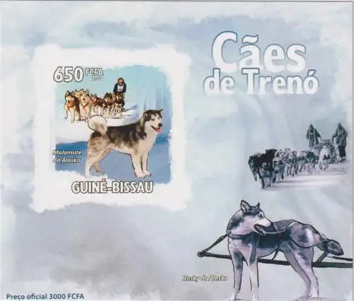 Sled dogs - Alaskan Malamute and Alaskan Husky - luxury blocks