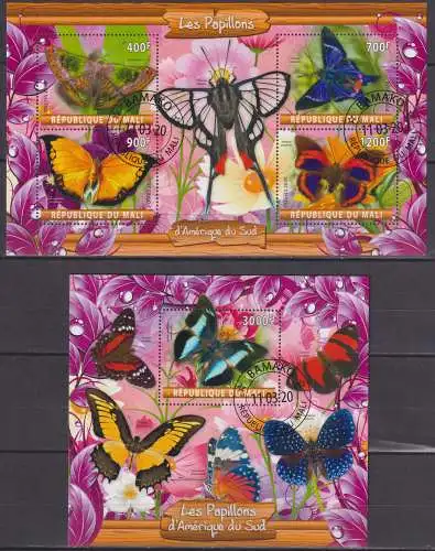 Butterflies of South America