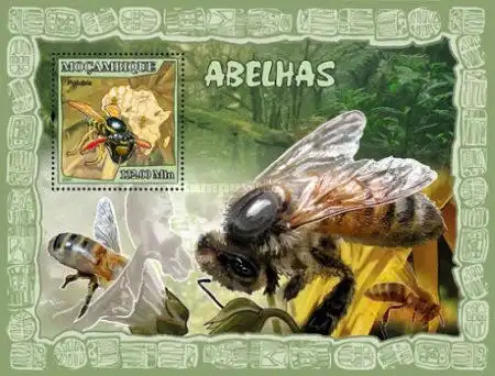 Bees - Polybia