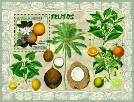 Fruits