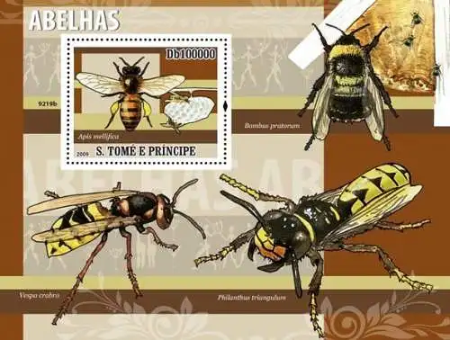 Fauna - Bees