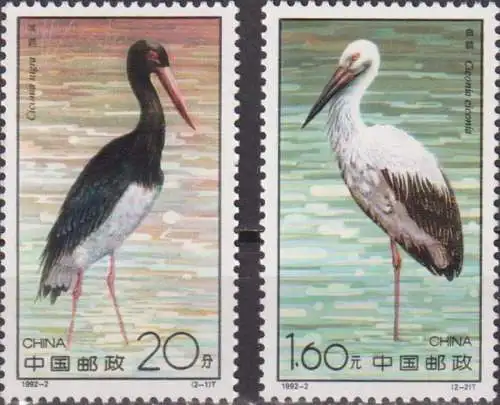 Storks