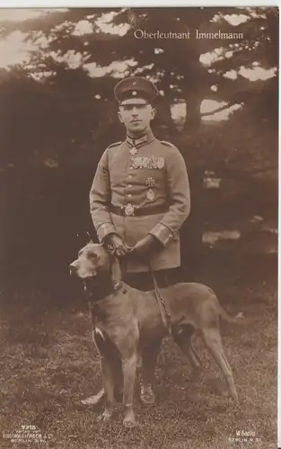 [Ansichtskarte] Oberleutnant Immelmann , Verlag Gustav Liersch 7718, W. Sanke. 
