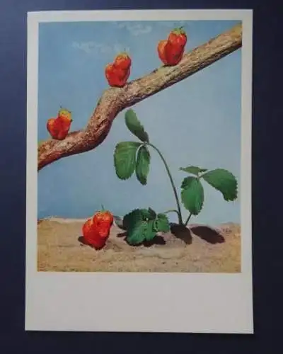 [Ansichtskarte] ROX-KARTE Serie158/12. 