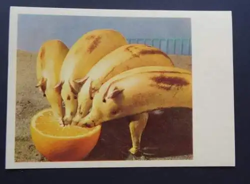 [Ansichtskarte] ROX-KARTE Serie158/26. 