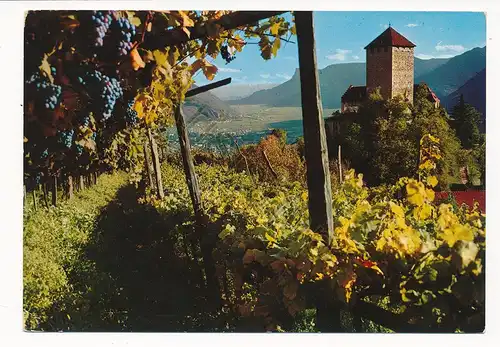 Castel Tirolo - presso Merano [Z16-1.225