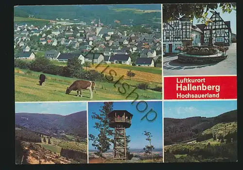 Hallenberg - Hochsauerland [AA40 1.853