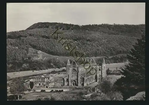 Monmouthshire - Tintern Abbey [AA23-2.113