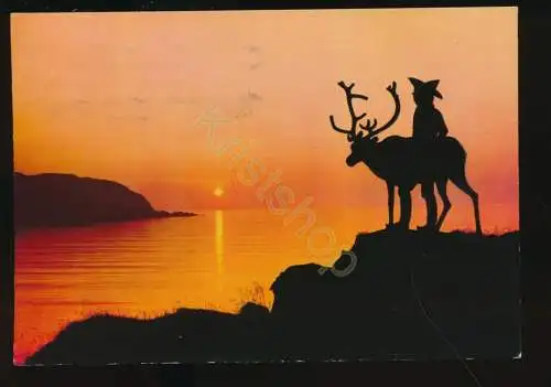 Norge - Same med reinsdyr i midnattsol [KK02-0.923