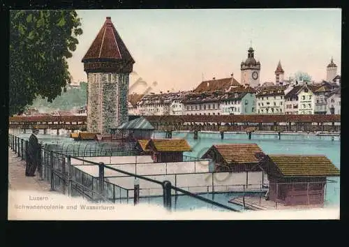 Luzern - Schwanencolonie und Wasserturm [KQ-175