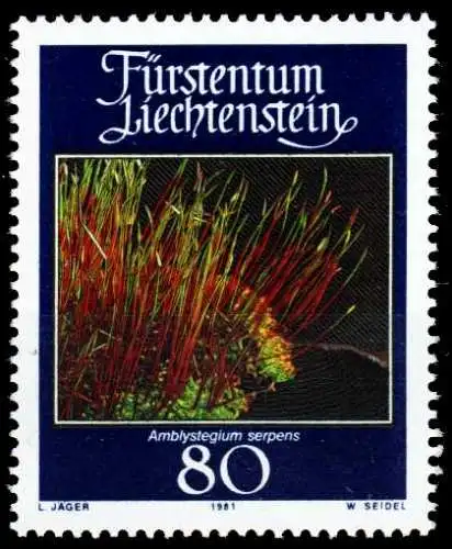 LIECHTENSTEIN 1981 Nr 779 postfrisch SB4648A