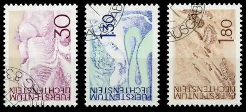 LIECHTENSTEIN 1973 Nr 581-583 gestempelt SB4DF4E