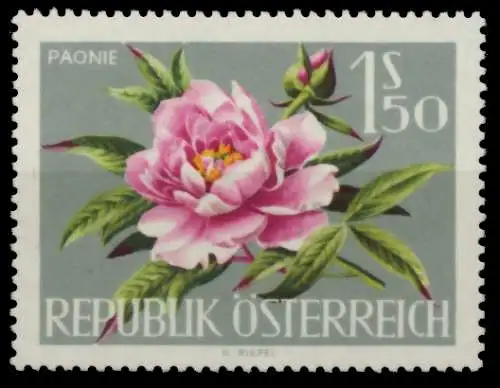 ÖSTERREICH 1964 Nr 1146 postfrisch SBCC45A