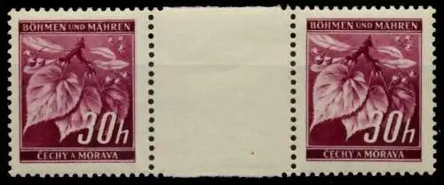 BÖHMEN MÄHREN Nr 24ZW postfrisch ZW-STEG PAAR 784A16