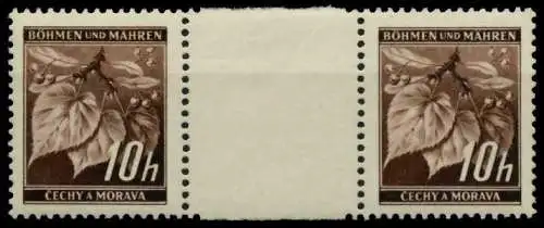 BÖHMEN MÄHREN Nr 21ZW postfrisch ZW-STEG PAAR 784A12