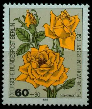 BERLIN 1982 Nr 681 postfrisch S5F527E