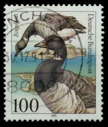 BRD 1991 Nr 1541 zentrisch gestempelt 84AFBA