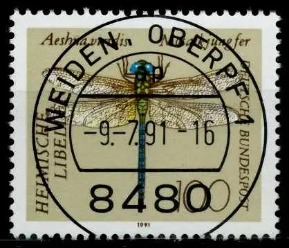 BRD 1991 Nr 1552 zentrisch gestempelt 84B11E