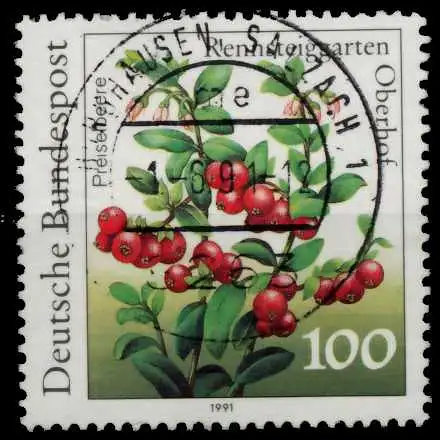 BRD 1991 Nr 1508 zentrisch gestempelt 84DD9A