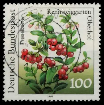 BRD 1991 Nr 1508 zentrisch gestempelt 84DDBE