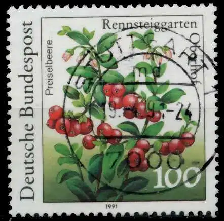 BRD 1991 Nr 1508 zentrisch gestempelt 84DD8E