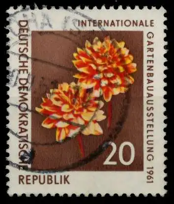 DDR 1961 Nr 855 gestempelt 8DC17E