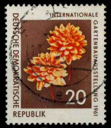 DDR 1961 Nr 855 gestempelt 8DC18E