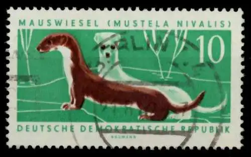 DDR 1962 Nr 870 gestempelt 8DC25E
