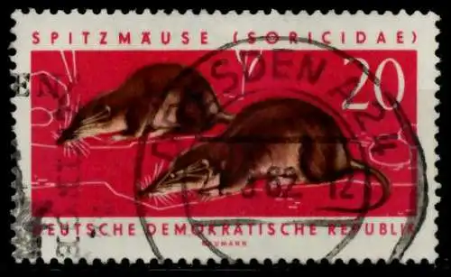 DDR 1962 Nr 871 gestempelt 8DC26E