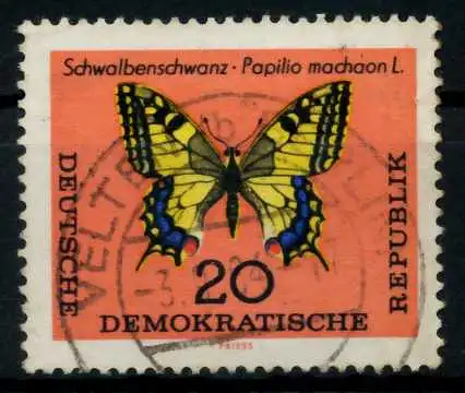DDR 1964 Nr 1006 gestempelt 8EB3BE