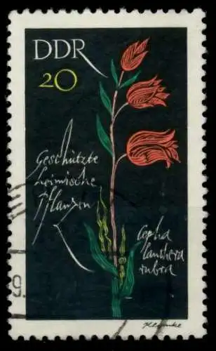 DDR 1966 Nr 1243 gestempelt 904CD6