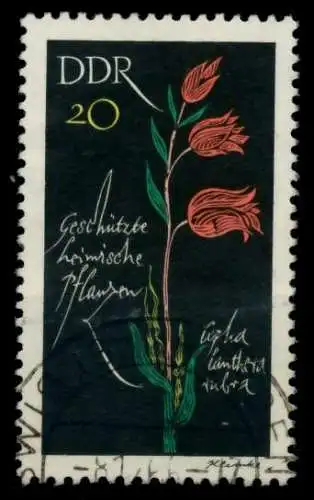 DDR 1966 Nr 1243 gestempelt 904D26