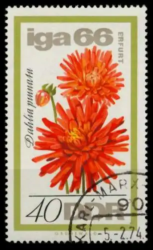 DDR 1966 Nr 1191 gestempelt 907752