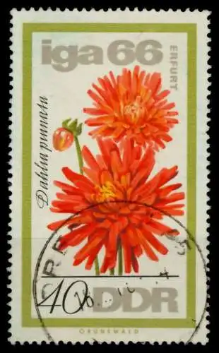 DDR 1966 Nr 1191 gestempelt 90796A