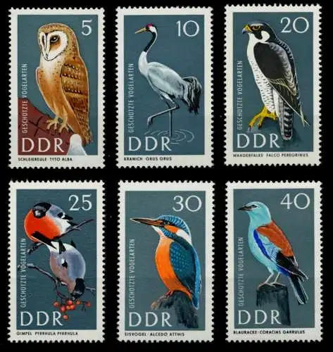 DDR 1967 Nr 1272-1277 postfrisch SFE72AE