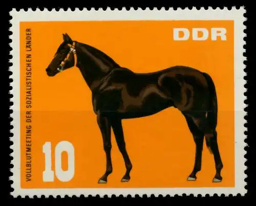 DDR 1967 Nr 1303 postfrisch SFE738A