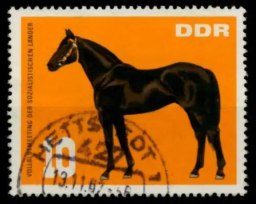 DDR 1967 Nr 1303 gestempelt 90AF6E