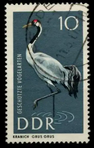 DDR 1967 Nr 1273 gestempelt 90B156