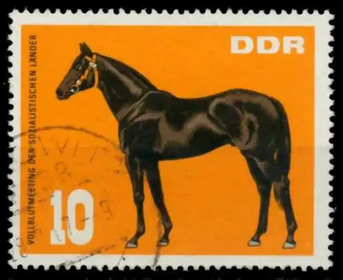 DDR 1967 Nr 1303 gestempelt 90B2D6