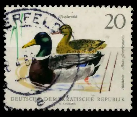 DDR 1968 Nr 1359 gestempelt 92E676