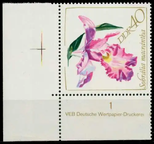 DDR 1968 Nr 1424 postfrisch ECKE-ULI 932252