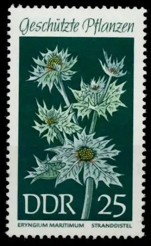 DDR 1969 Nr 1460 postfrisch S0166AA