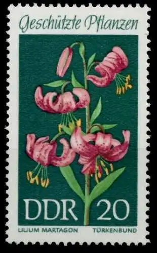 DDR 1969 Nr 1459 postfrisch S01669E