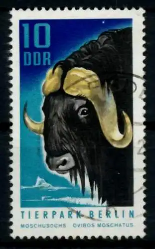 DDR 1970 Nr 1617 gestempelt 94CE76