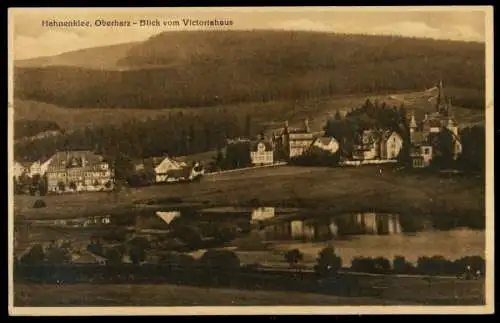 D-REICH POSTKARTE DIVERSE HAHNENKLEE 69478A